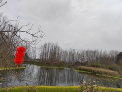 -桤木河湿地公园