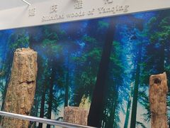 -延庆地质公园博物馆