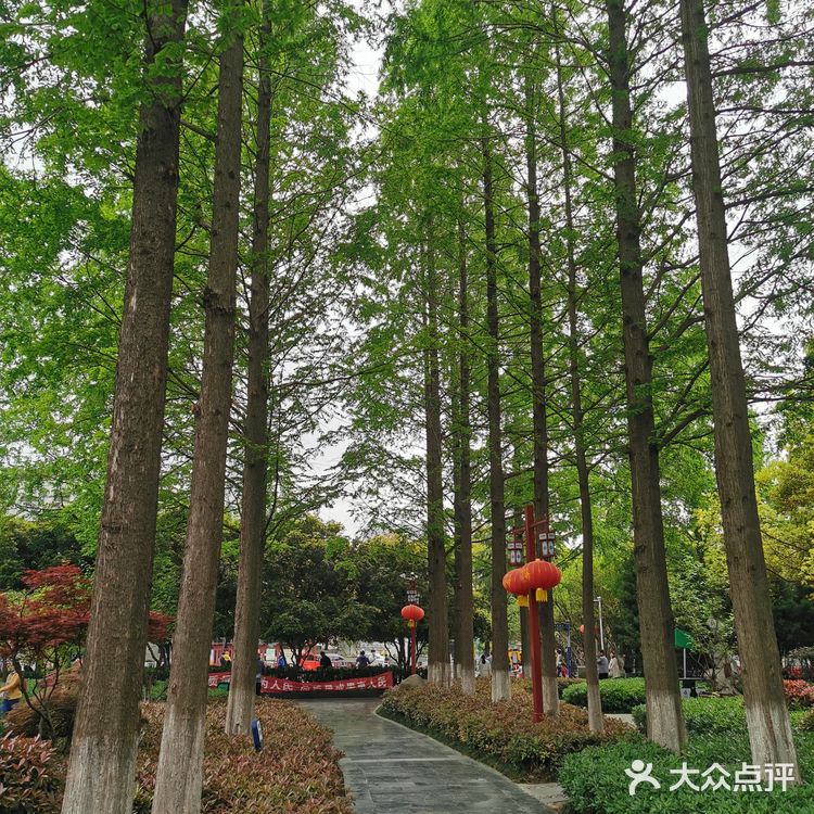 郑和公园