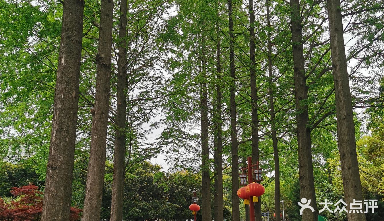 郑和公园