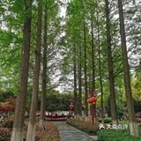 郑和公园