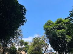 -耳艺采耳·足疗(市桥店)