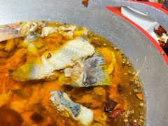 -雲蜀龙阁·金牌水煮鱼(方庄店)