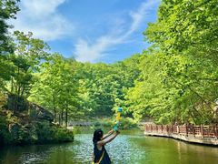-洛阳白云山景区