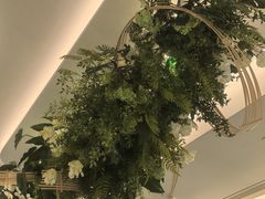 -Aqua Oasis 水天堂(太湖中心mall店)