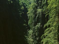 -阿依河景区