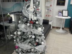 -维乐口腔(格林门诊长宁店)