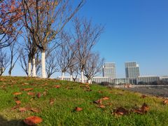 -尚贤河湿地