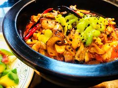 黑松露牛肝菌焖牛蛙-云海肴·汽锅鸡·云南菜(天山百盛优客店)