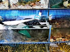 水产区-蟹谢蒸鲜自助餐厅