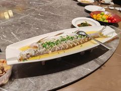 -同庆楼(滨湖万达广场店)