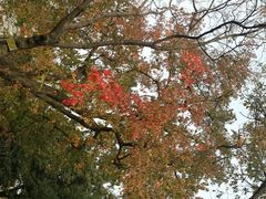 android_upload_pic-采石矶景区