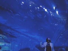 -成都浩海立方海洋公园