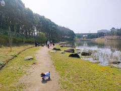 -美兰湖景区