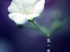 -INLOVE KTV(水晶城店)