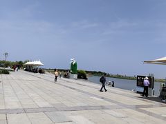 -南大港湿地风景区