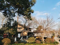 -西溪国家湿地公园