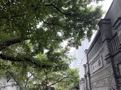 -重庆十八梯传统风貌区