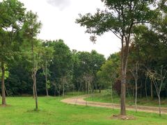 -上海海湾国家森林公园