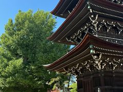 -医王山·飞騨国分寺