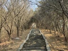 -京东石林峡风景区