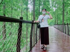 -黄海国家森林公园