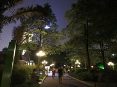 -东风公园