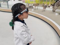 -陕西自然博物馆