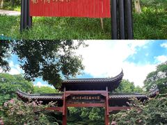 -杭州半山国家森林公园