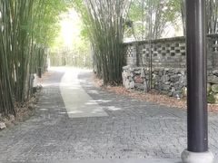 -崇阳三特浪口温泉