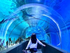 -成都浩海立方海洋公园