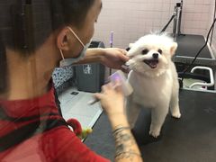-FAELING PETS美天灵宠物(富力广场店)
