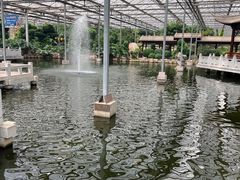 -九天休闲谷