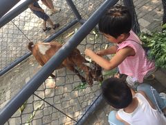 -长白岛森林公园