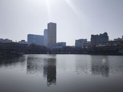 -文瀛公园
