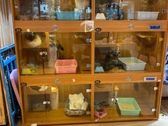 -Pets First伊珊娜洗护·精致美容·家庭式寄养(新会路店)
