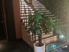 -新紫霞养生·影院足道·SPA(金山区店)