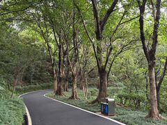 -广州雕塑公园