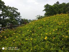 -铁山坪森林公园