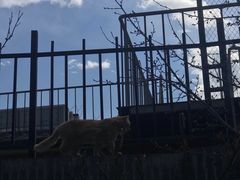 -北京湖广会馆