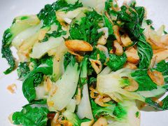 焗锅气奶白菜-小大董·烤鸭(五棵松店)