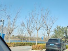 -东郊湿地公园