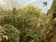 -窦圌山风景区