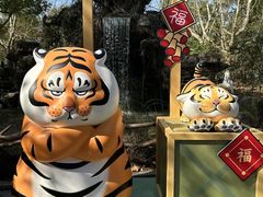 -上海野生动物园