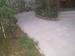 -森谷美食公园(杨行店)