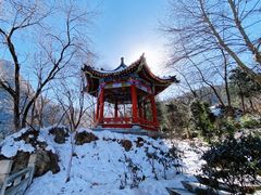-秦岭终南山世界地质公园翠华山景区