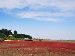 -辽宁团山国家级海洋公园