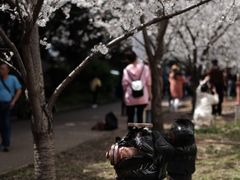 -武汉大学-樱园