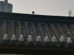 -龙头寺公园