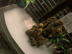 -泡桐树孙二娘私房菜